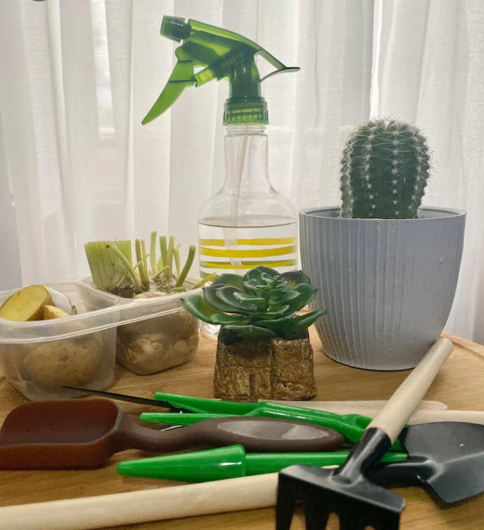 Home & Garden — kitchen & dining, décor, storage, planters, textiles